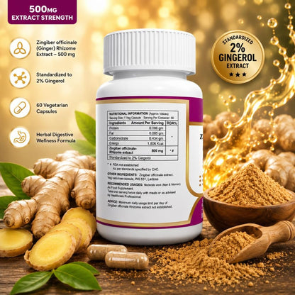 ANJIX Ginger Root Extract, Zingiber Officinale, 3% Gingerol, 500 mg, Pack of 60 Veg Capsules