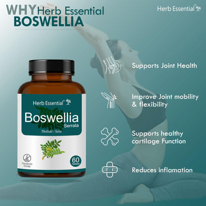 Herb Essential Boswellia/Bone and Joint Wellness / 500Mg Tablet - 60 Count