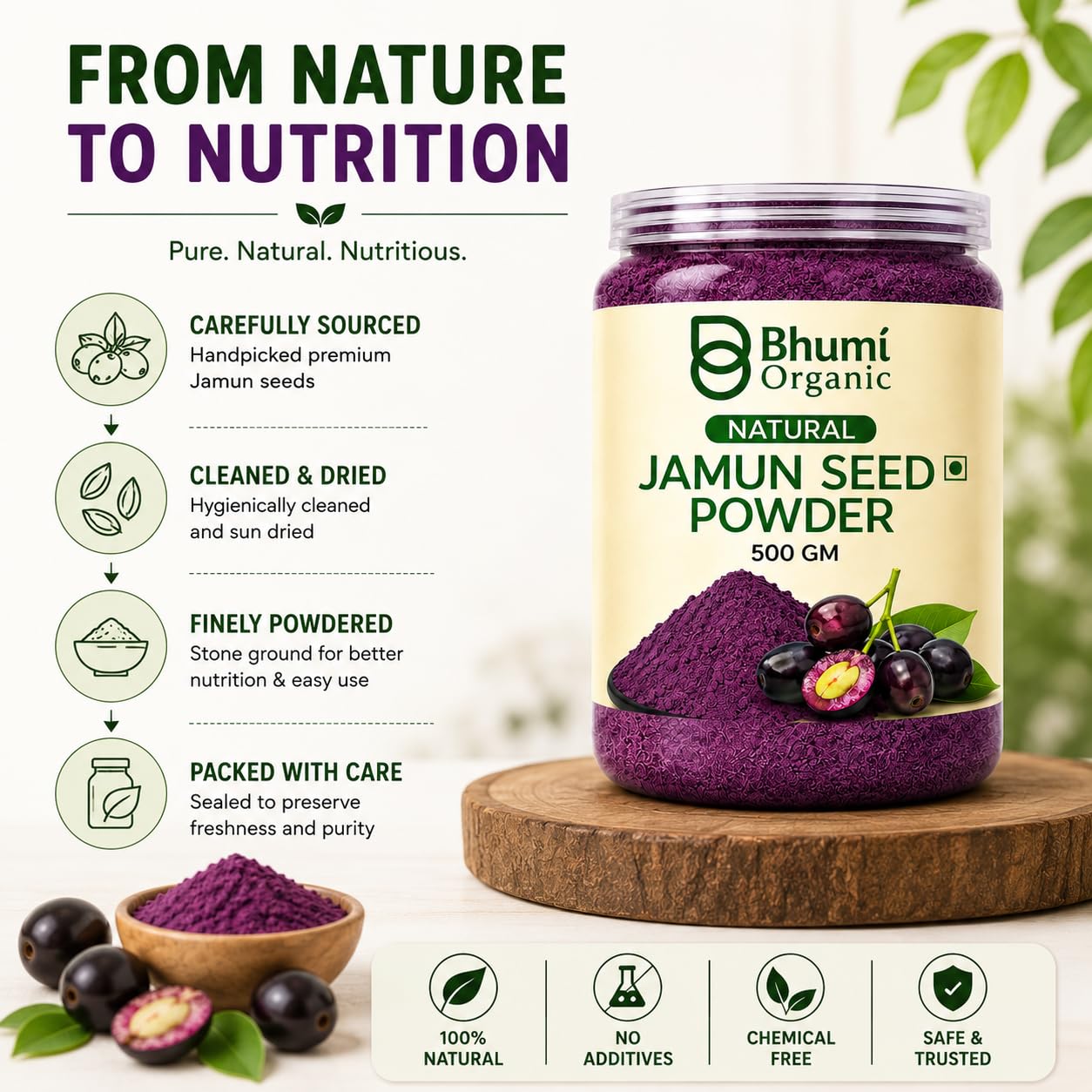 Bhumi Organic Ayurveda Jamun Seed Powder for Diabetes (500 gm) - Herbal Supplement
