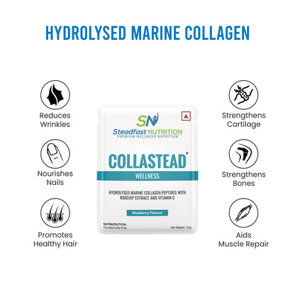 Steadfast Nutrition Collastead Collagen Powder|Natural Marine Collagen Boost Skin, Hair, Bones, Nail Health with Pure Collagen Peptides | Blueberry Flavour, 300g | 30 Sachets