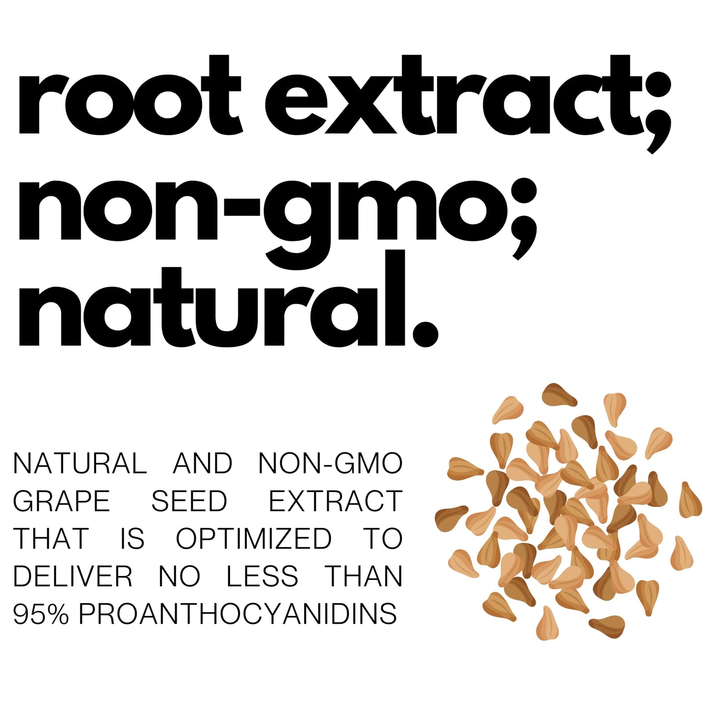 FOLIUS LABS Grape Seed Extract 500mg - 95% OPCs Polyphenols - High Strength Grape Seed Supplement - Support cardiovascular health – 60 Capsules