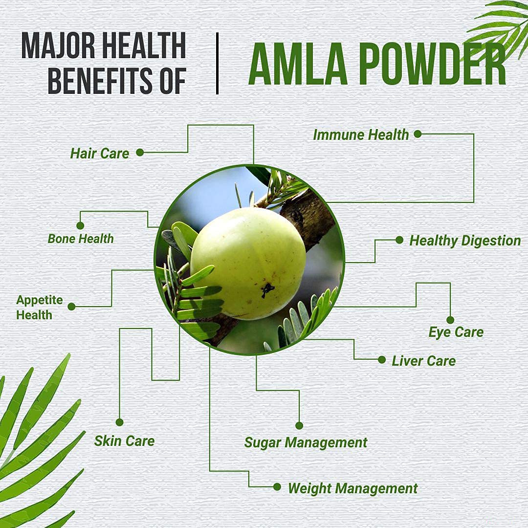 Ayurvedic Life Organic Amla Powder 200 gms