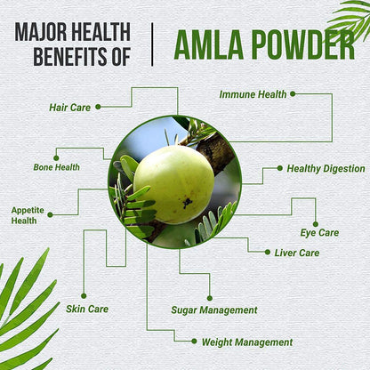 Ayurvedic Life Organic Amla Powder 200 gms