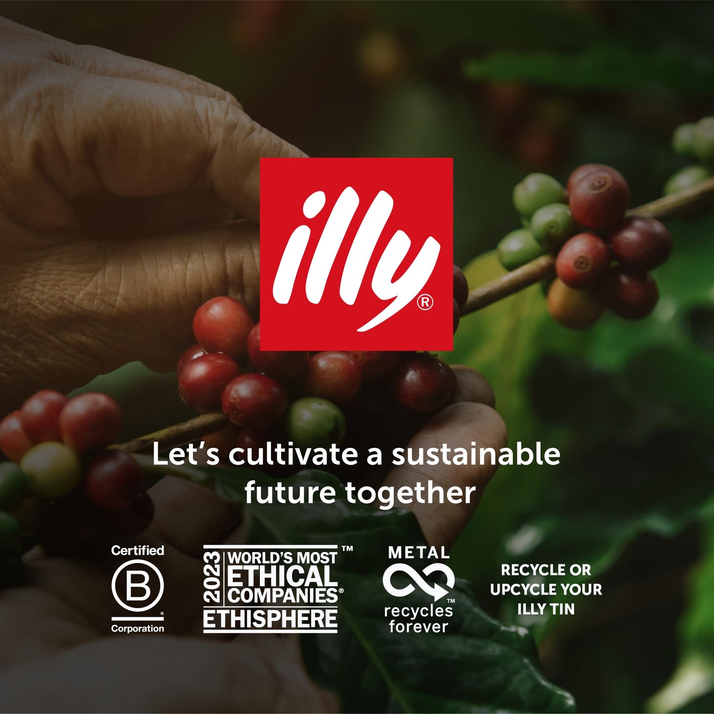 Illy Decaffeinated Coffee Beans, 250g Tin