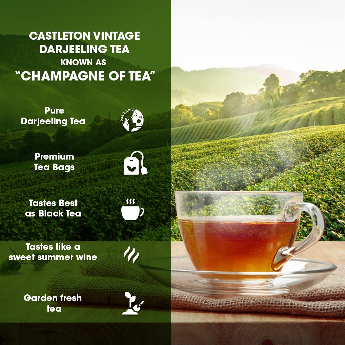 Goodricke Castleton Vintage Darjeeling Tea Bags 100 Count | Premium Single Estate Whole Leaf | Black Tea |Muscatel is a Taste note | Exclusive Tea 180g