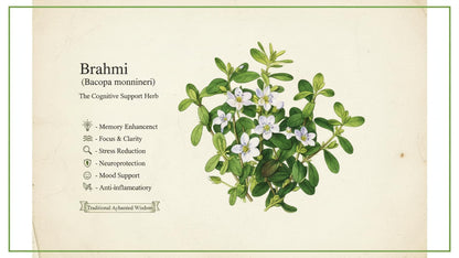 Herbal Brahmi Capsule