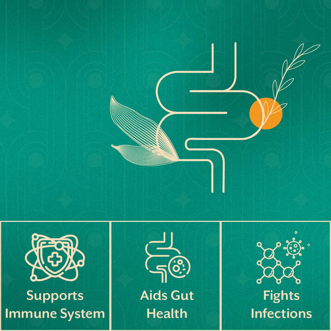 iThrive Essentials Immune Support – Enhanced Formula with Maitake, Herb- image 3