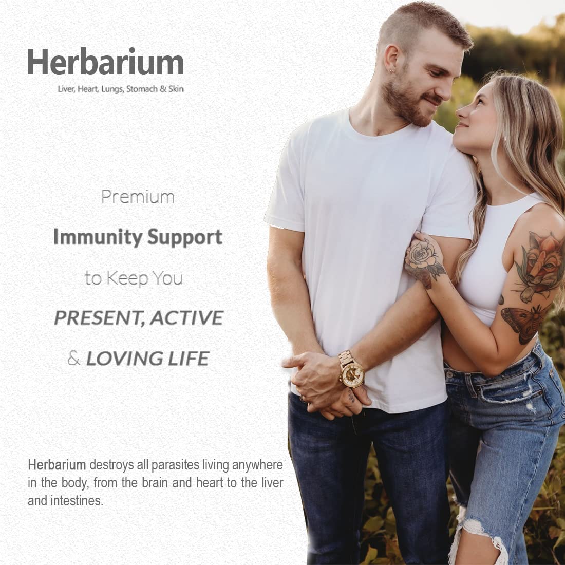 ANC Herbarium 500mg Support Supplements to Protects Liver, Heart, Lungs- image 7