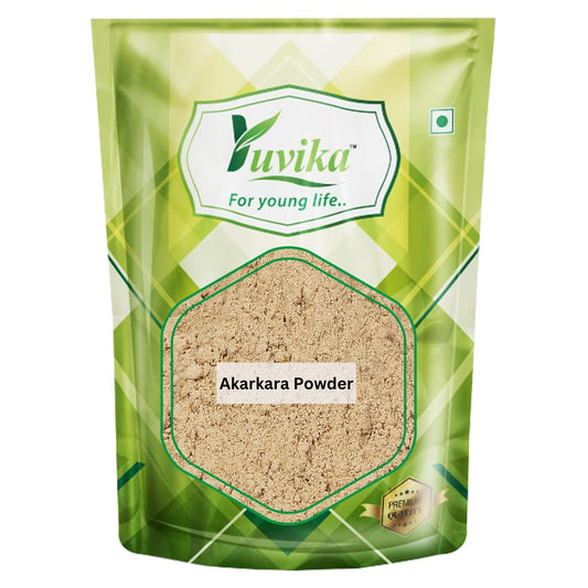 YUVIKA Akarkara Powder - Anacyclus Pyrethrum - Pellitory Root Powder (100 Grams)