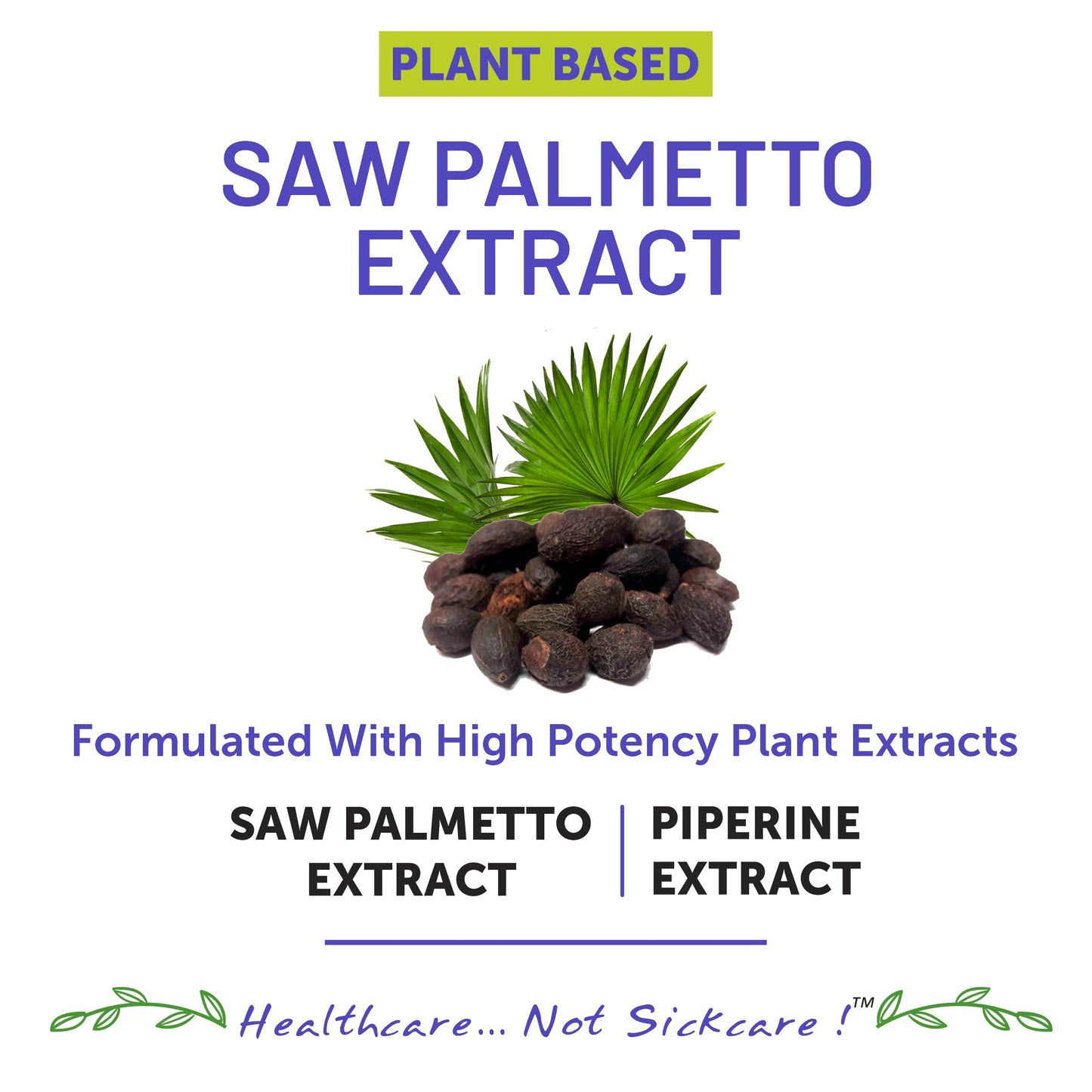 Bliss Welness Saw Palmetto Extract 800 MG | Hair Growth Prostate Health Support Urinary Tract Function Prevent Hair Fall Ayurvedic DHT Blocker Health Supplement - 120 Tablets (2 Month Pack)