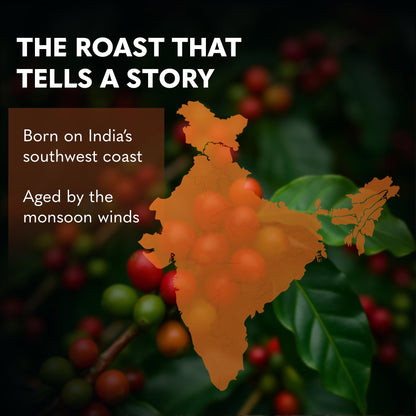 THIRD WAVE COFFEE | Monsoon Malabar Aa | 100% Arabica | Medium Roast | Whole Beans | 250 grams | Pouch