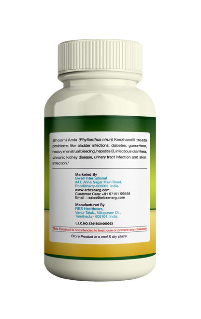 ERBZENERG® Phyllanthus Niruri (Kilanelli)(Bhumi Amala) tamalaki 60 Capsules (Pack of 2)