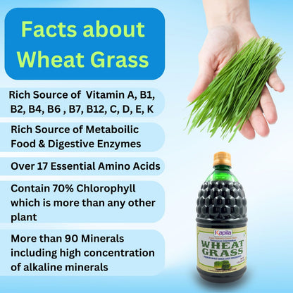 Kapila Wheatgrass Juice 1 Liter for Liver Detoxification & Improves Gut Health, Helps in Weight & Cholesterol management
