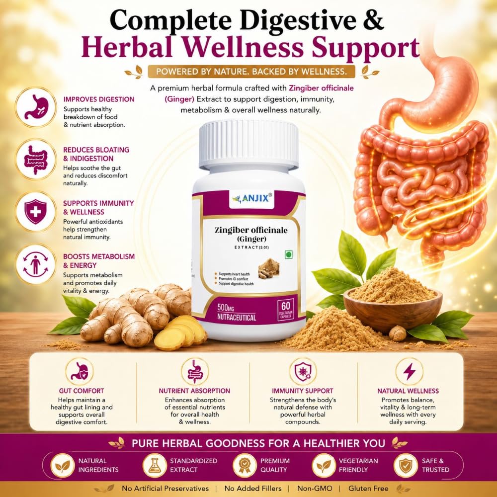 ANJIX Ginger Root Extract, Zingiber Officinale, 3% Gingerol, 500 mg, Pack of 60 Veg Capsules