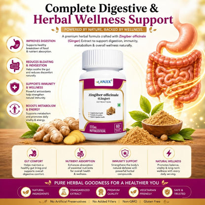 ANJIX Ginger Root Extract, Zingiber Officinale, 3% Gingerol, 500 mg, Pack of 60 Veg Capsules