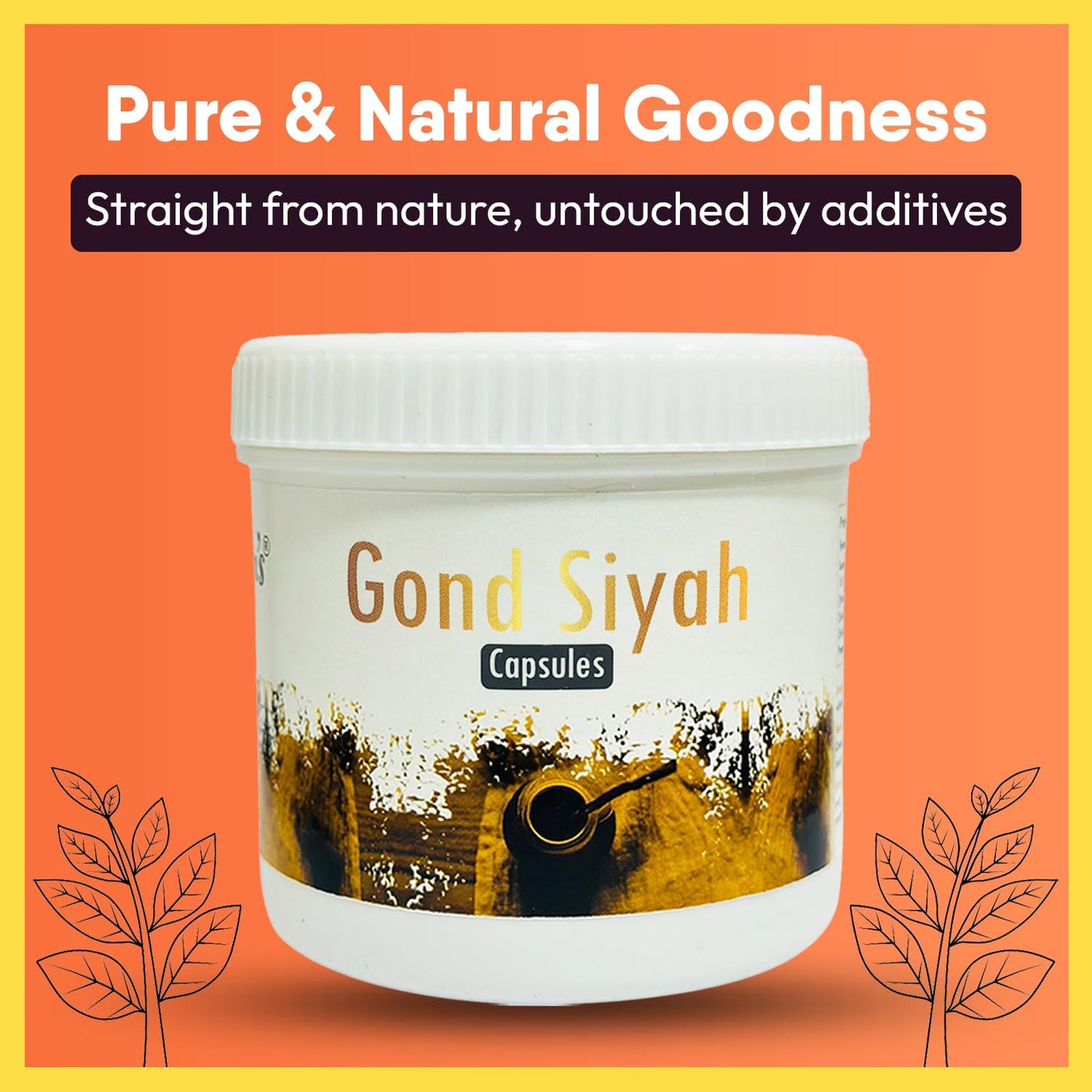 Hakim Suleman's T Care Capsule and Gond Siyah Capsule Combo Pack | Daily Wellness Duo | Herbal Care Value Combo