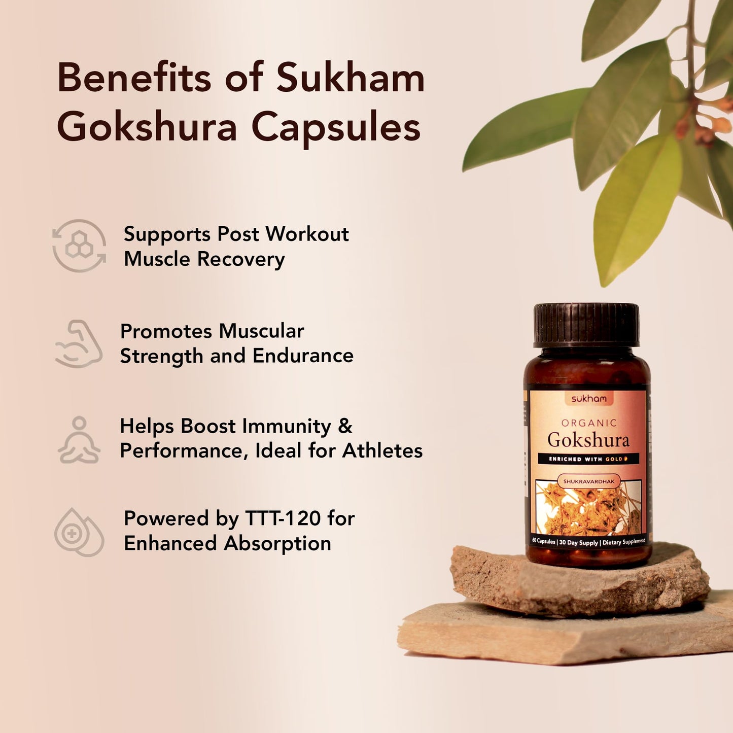 Sukham Gokshura/Tribulus Capsules | Processed using TTT-120 | 500 mg - 60 Capsules | Benefits include Better Strength, Stamina & Recovery | Ideal for Gym and Athletes