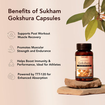Sukham Gokshura/Tribulus Capsules | Processed using TTT-120 | 500 mg - 60 Capsules | Benefits include Better Strength, Stamina & Recovery | Ideal for Gym and Athletes