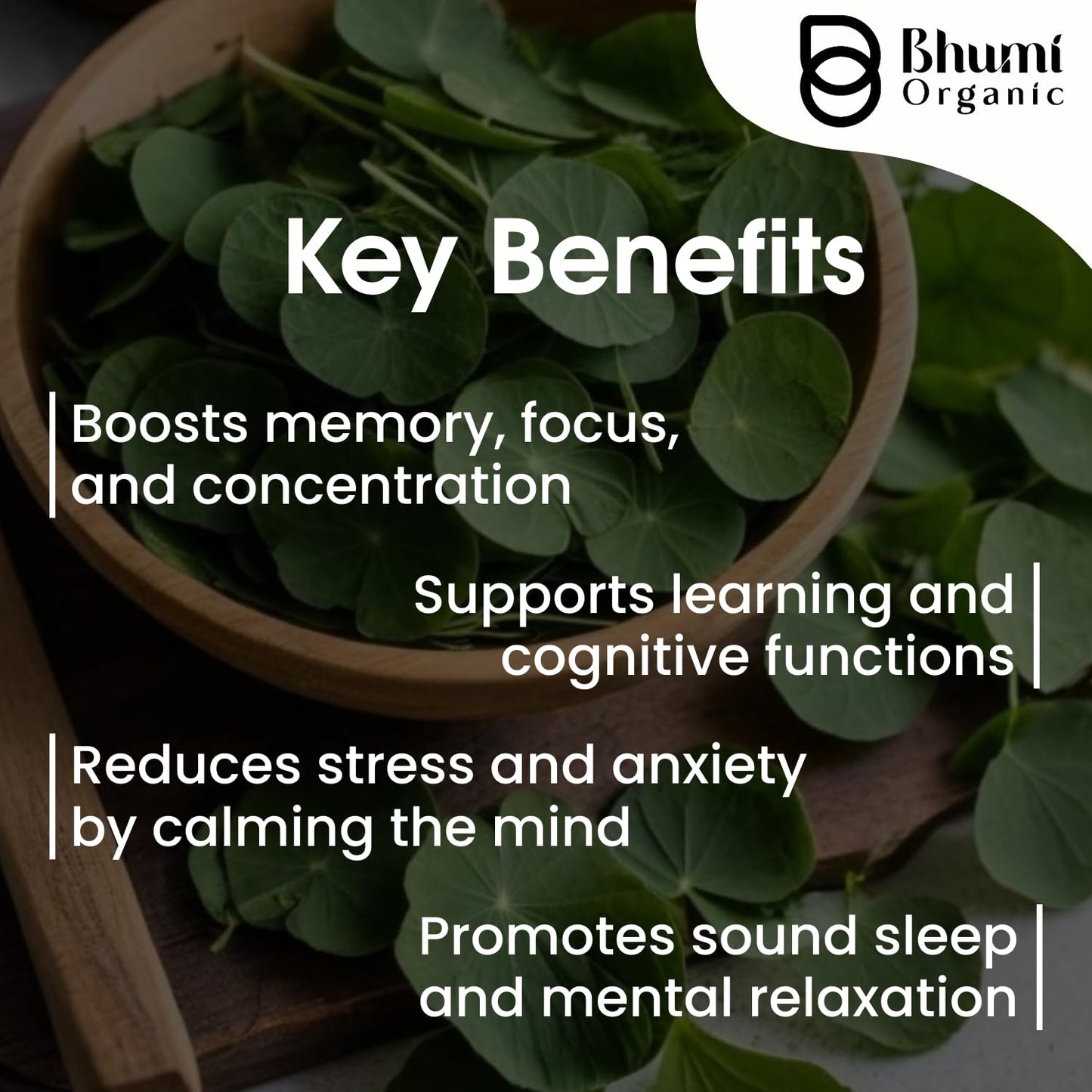 Bhumi Organic Natural Brahmi Powder, 200g, Bacopa Monnieri, Brain Tonic- image 5