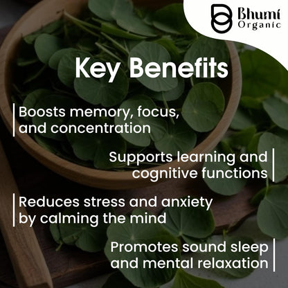 Bhumi Organic Natural Brahmi Powder, 200g, Bacopa Monnieri, Brain Tonic- image 5
