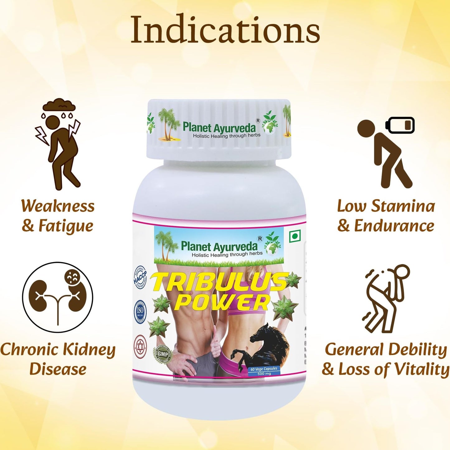 Planet Ayurveda Tribulus Power- Herbal Supplement, 60 Capsules - Gokshur Extract (Tribulus terrestris), 500 mg, Vegetarian