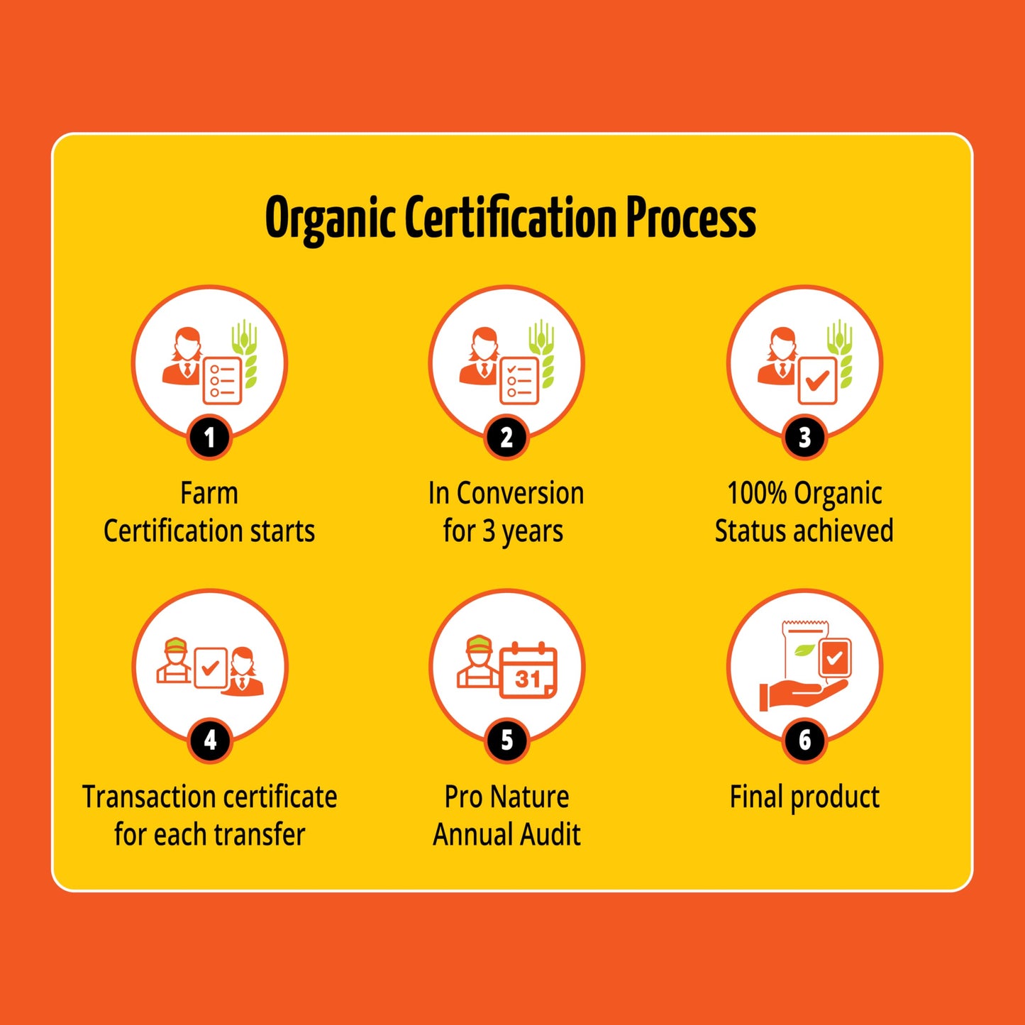 Pro Nature 100% Organic Cassia Bark Sticks -50g | Premium Dalchini Stick | Aromatic Whole Spices | Rich In Antioxidants | Everyday Cooking & Smoothies