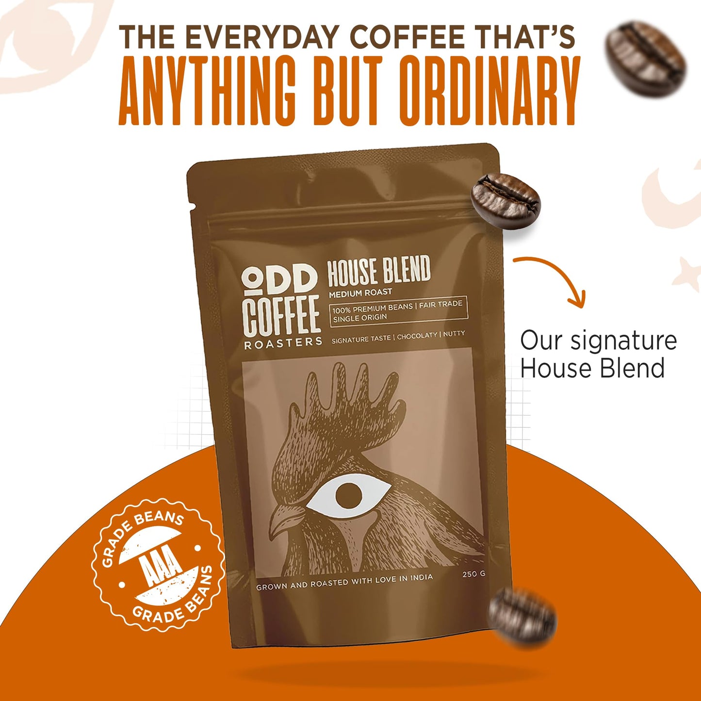 ODD COFFEE ROASTERS House Blend 60% Arabica 40% Robusta Roasted Coffee Powder 250 Gram Medium Roast | AAA Grade Specialty Beans | Chocolaty Nutty | Single Origin Ground Coffee Powder for Cold Brew
