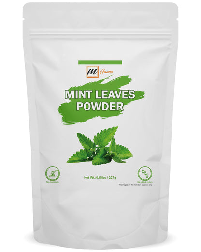 mGnna Mint Leaf Powder for Smooth Glowing Skin, Hair Care, Cosmetic Formulation and Health Care 227gm / 0.5lbs