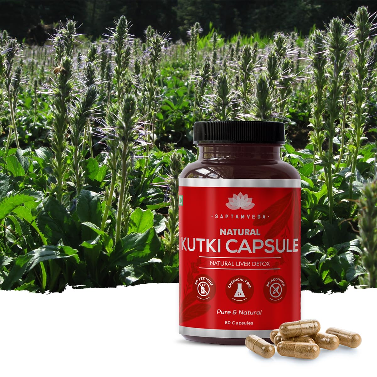 SAPTAMVEDA Natural Kutki 120 Veg Capsules (60 * 2) (Pack of 2), 500 MG- image 8