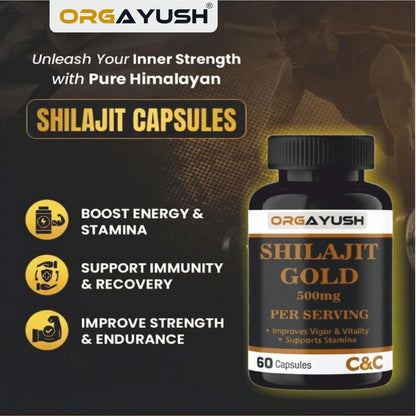 ORGAYUSH Shilajit Gold Capsules – Nano Formulated Himalayan Shilajit Supplement for Energy, Stamina, Vitality & Immunity Support with Fulvic Acid & Minerals (Pack of 1)