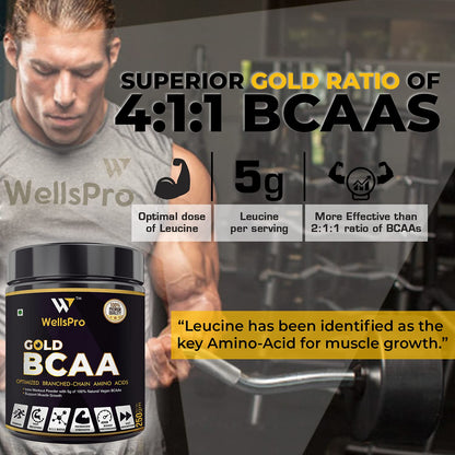 Wellspro Gold BCAA Supplement Powder 250G, Gold Ratio 4:1:1, Intra Workout Supplement for Muscle Growth & Faster Recovery, Keto Friendly, Caffeine Free (Mix Berry Flavor)
