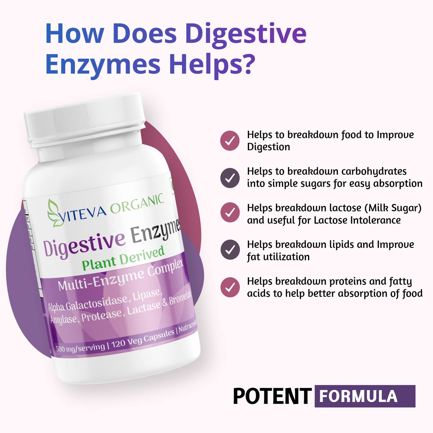 Viteva Organic Digestive Enzymes 500mg – 120 Veg Capsules with Bromelain, Alpha Galactosidase, Lipase, Amylase, Protease -Digestive enzyme