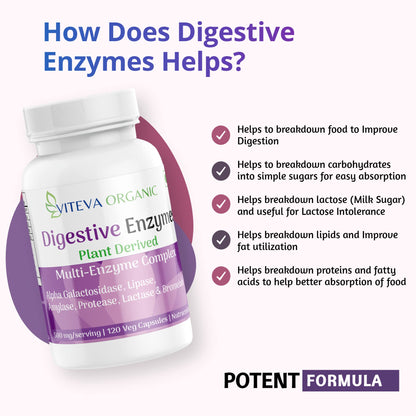 Viteva Organic Digestive Enzymes 500mg – 120 Veg Capsules with Bromelain, Alpha Galactosidase, Lipase, Amylase, Protease -Digestive enzyme