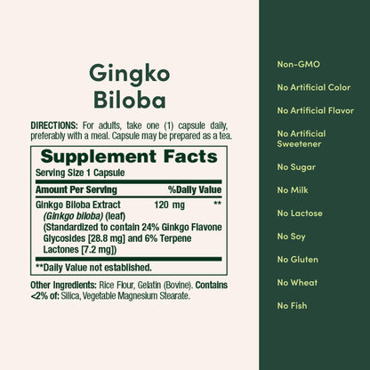 Nature's bounty ginkgo biloba Tablet 120mg 100 Count