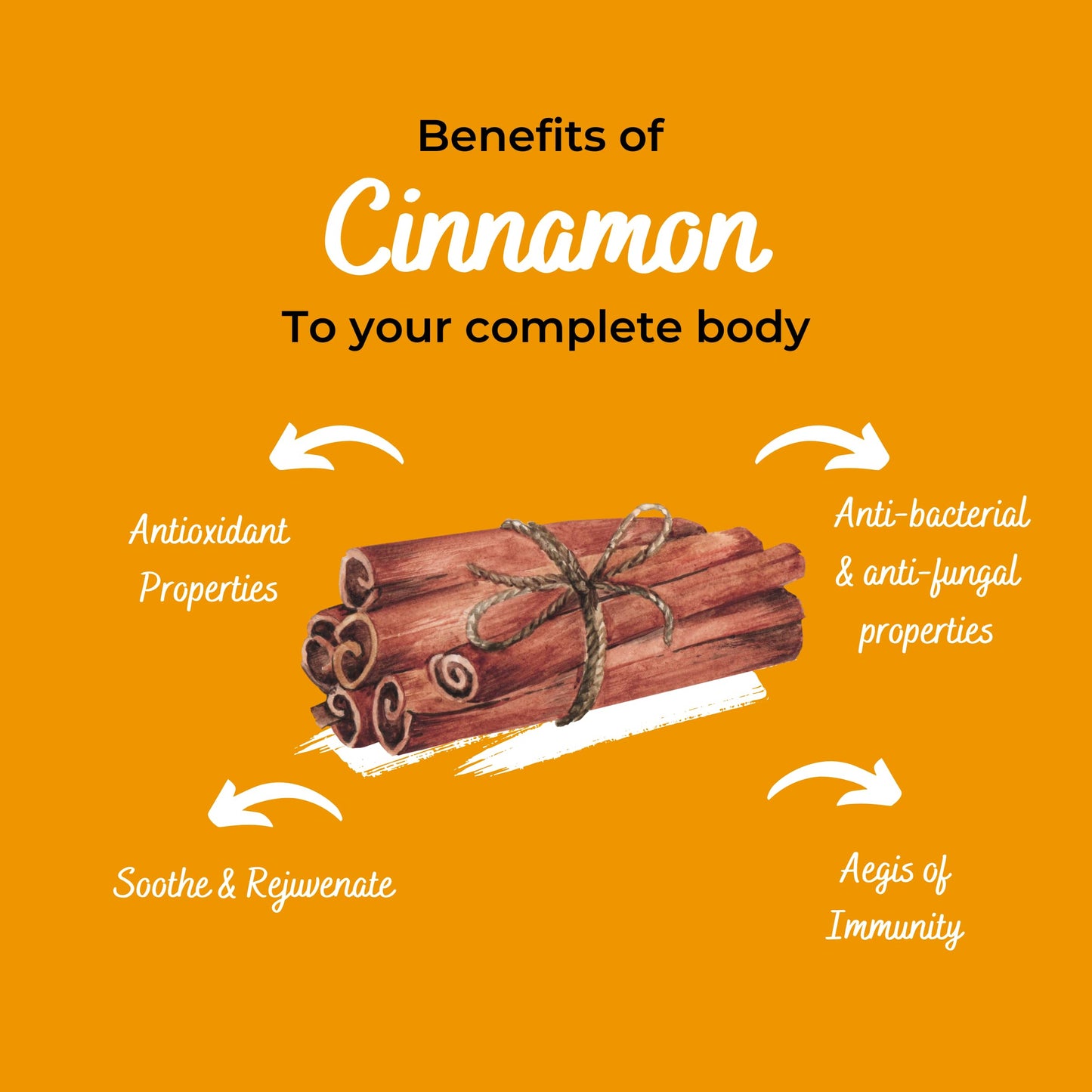 GOURMET HEALTH IMPRESSIONS Superior Grade Cinnamon (Dalchini) Powder 75g - Richly Aromatic, Finely Ground, Non-GMO - Perfect for Baking & Spicing Up Dishes | GHI Foods