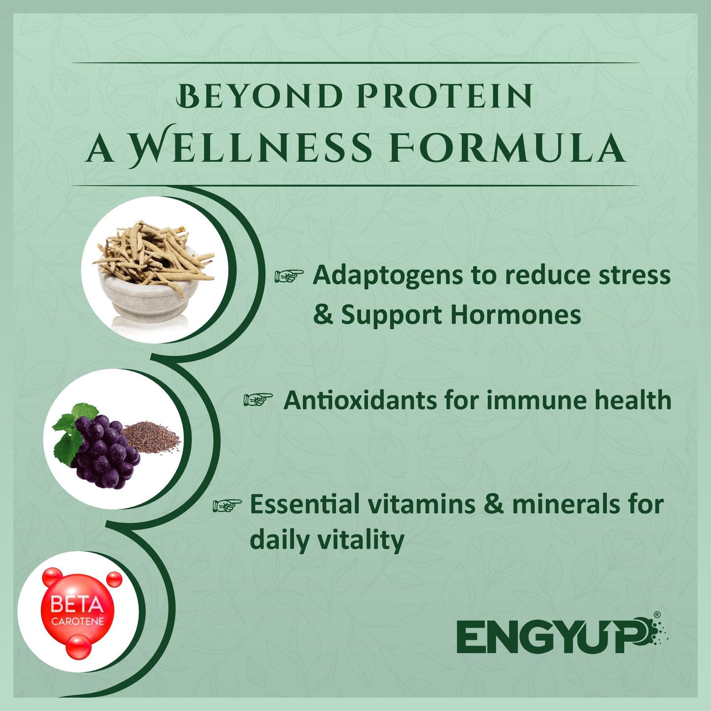ENGYUP Plant Protein Powder(Pea & Brown Rice Protein) 25g Per Serving | Rich in BCAA with Antioxidants, Vitamins & Minerals, Herbal Extracts | Zero Added Sugar & Easy to Digest | Mocha Coffee Flavor | 400g