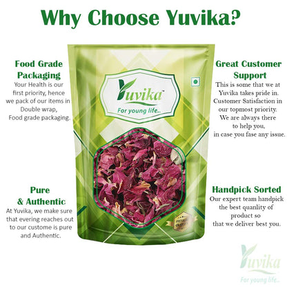 YUVIKA Gulab Patti - Rosa Gallica - Dry Rose Petal (100 Grams)- image 3