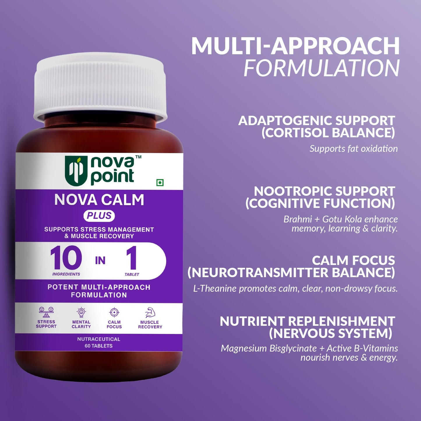 NovaPoint Magnesium Bisglycinate (Chelated) & Ashwagandha Root (5% Withanolides for Max Results) | Advanced & Potent 10-in-1 Formula for Stress Relief & Muscle Recovery | 60 Veg Tablets
