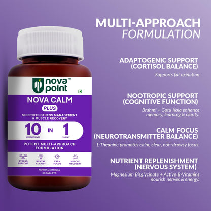 NovaPoint Magnesium Bisglycinate (Chelated) & Ashwagandha Root (5% Withanolides for Max Results) | Advanced & Potent 10-in-1 Formula for Stress Relief & Muscle Recovery | 60 Veg Tablets