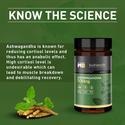 MuscleBlaze Koshaveda Ashwagandha 500mg (60 Tablets) | Ayurveda for Per- image 8