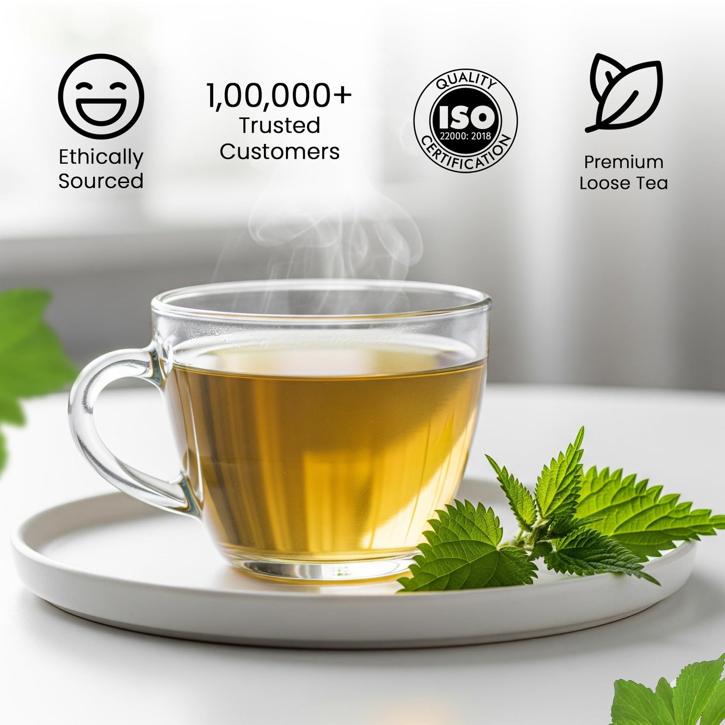 Teamonk Stinging Nettle Leaf Tea (100g) | Loose Leaves, Caffeine-Free, Herbal Tea For Weight Loss | Rich in Nutrients & Antioxidants, Supports Blood Pressure Management & Immunity Boost | Detox