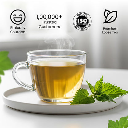 Teamonk Stinging Nettle Leaf Tea (100g) | Loose Leaves, Caffeine-Free, Herbal Tea For Weight Loss | Rich in Nutrients & Antioxidants, Supports Blood Pressure Management & Immunity Boost | Detox