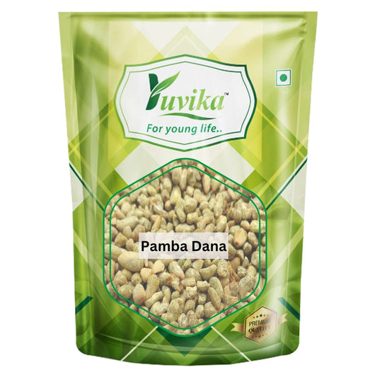 YUVIKA Pamba Dana - Binola Giri - Gossypium herbaceum - Cotton Seeds (400 Grams)
