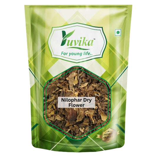 YUVIKA Nilophar Dry Flower - Neelophar - Nilofer - Nymphaea Alba (200 Grams)