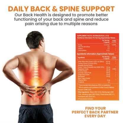 Nutrisage Back Health, Spine and Disc, Back Pain Relief with 9 Potent H- image 8