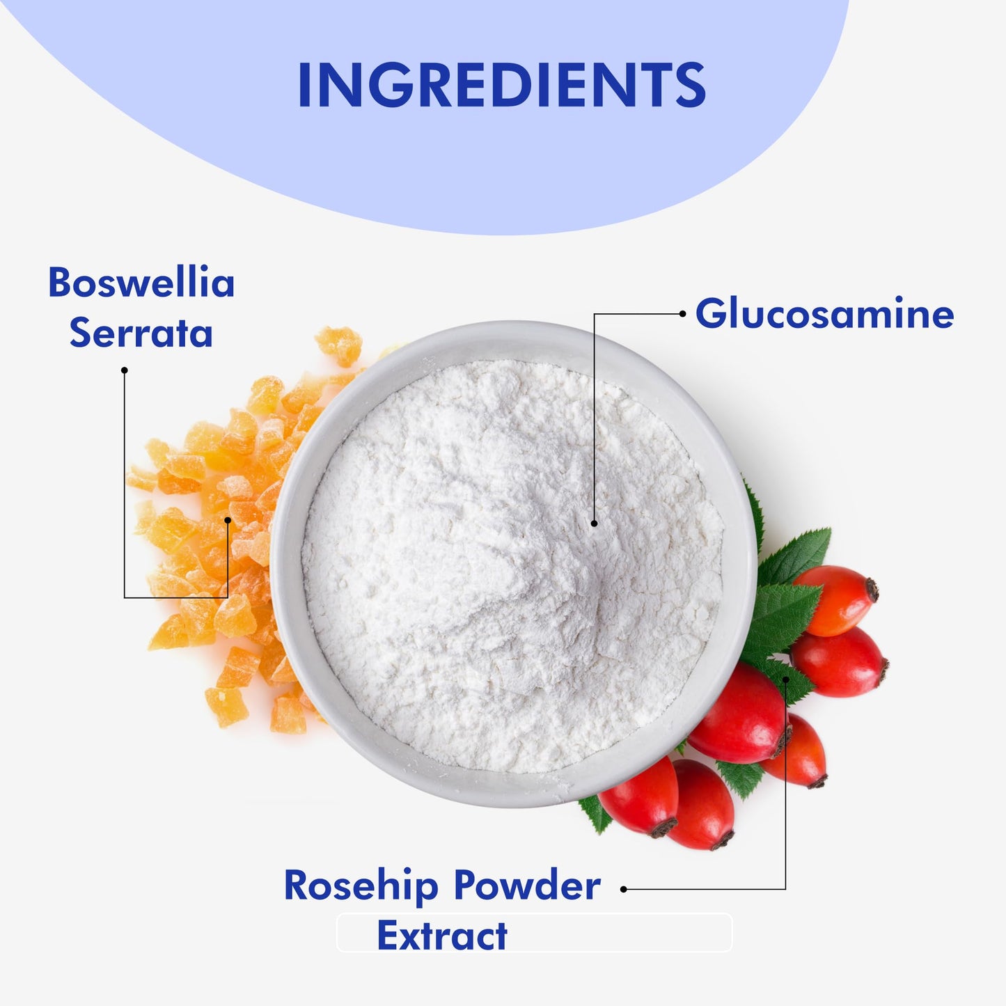 FYTIKA HEALTHCARE PRODUCTS Flexi Move Tablets | Glucosamine, Rosehip Po- image 6