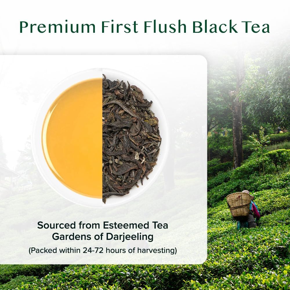VAHDAM, First Flush Darjeeling Tea - (100g) | Loose Leaf Black Tea - Flowery, Aromatic & Delicious | Champagne Of Teas | Mellow & Fragrant | Direct From India | Vacuum Sealed