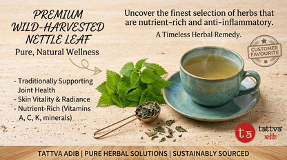 "Tattva Adih Himalayan Stinging Herbal Nettle Leaf Infusion | 50 grams, 30+ Cups I Brain Health, Hair Growth & Digestion | Caffeine-Free Nettle Leaves in Airtight Tin "