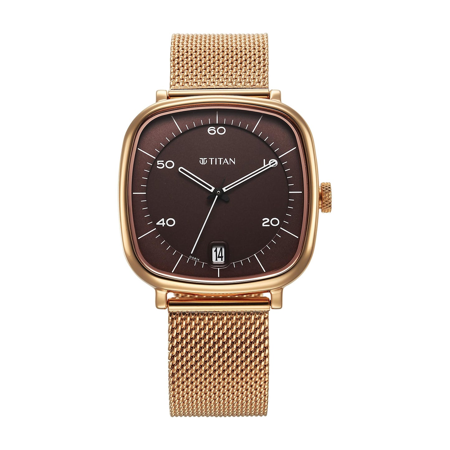 Titan Analog Brown Dial Men's Watch-1885WM01