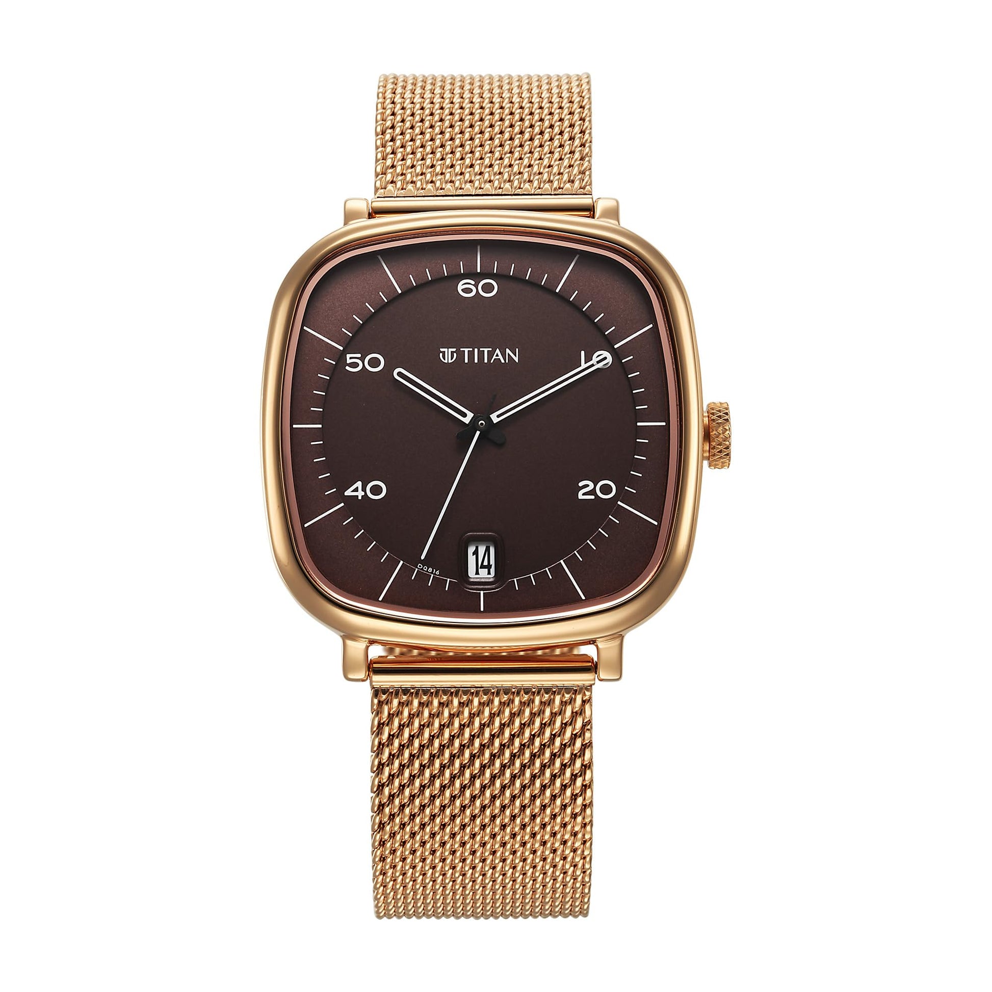 Titan Analog Brown Dial Men's Watch-1885WM01